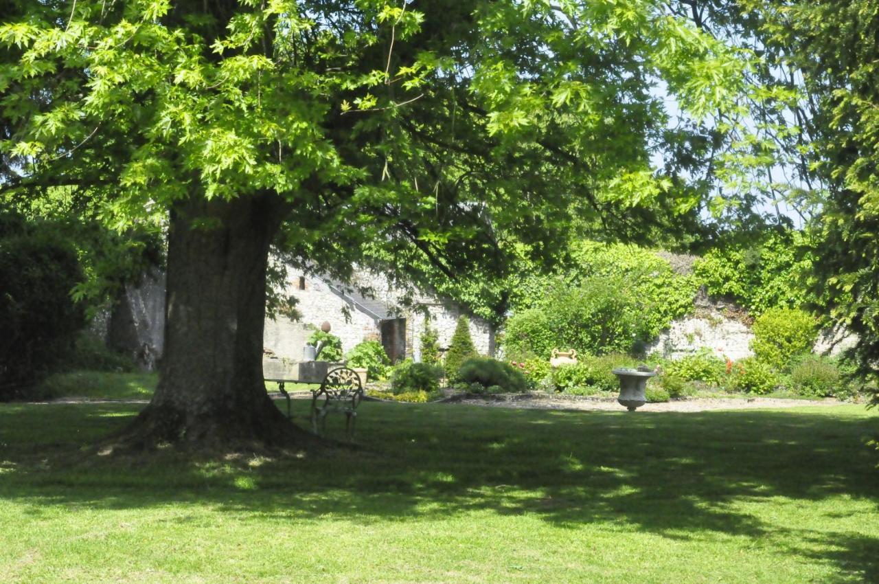 Chateau De St Sauveur D'Emalleville Bagian luar foto