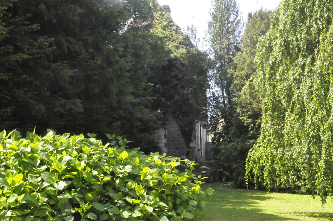 Chateau De St Sauveur D'Emalleville Bagian luar foto